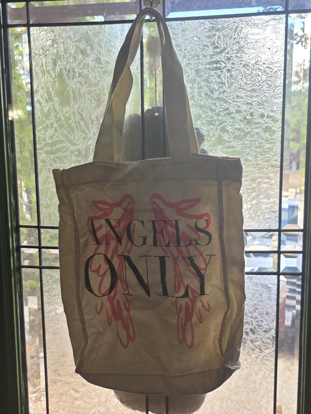 Victoria's Secret 'Angels Only' Tote